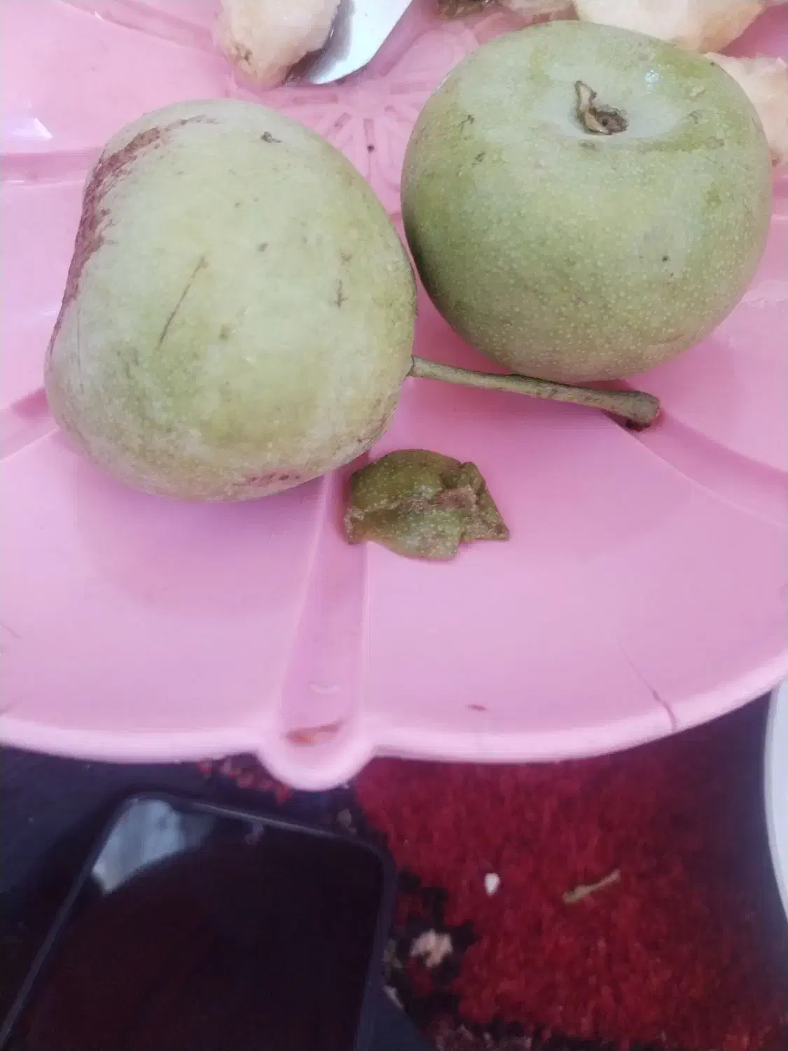 گلابی سرباغ|خوردنی و آشامیدنی|رودشت (چهارمحال و بختیاری), |دیوار