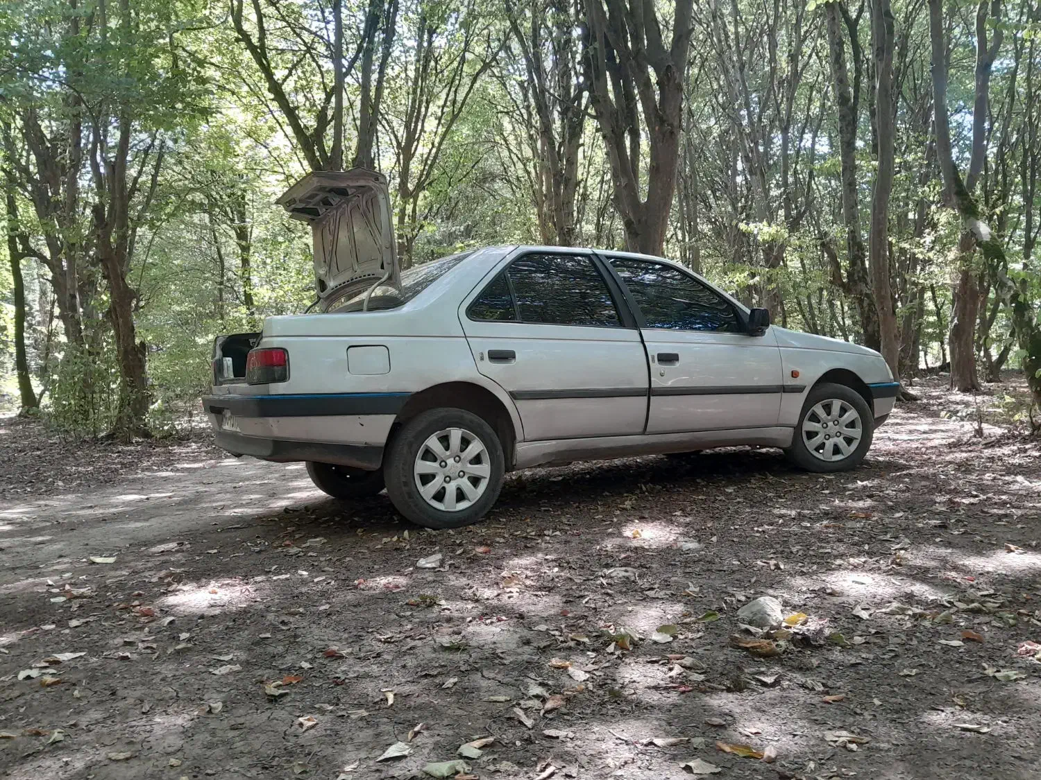 ۴۰۵|خودرو سواری و وانت|علیآباد کتول, |دیوار