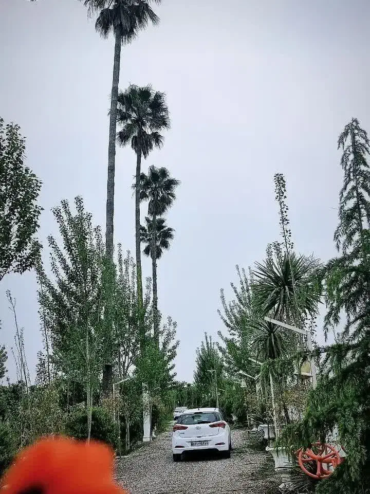 فروش زمین آماده ساخت ۲۵۰ متری|فروش زمین و ملک کلنگی|دابودشت, |دیوار