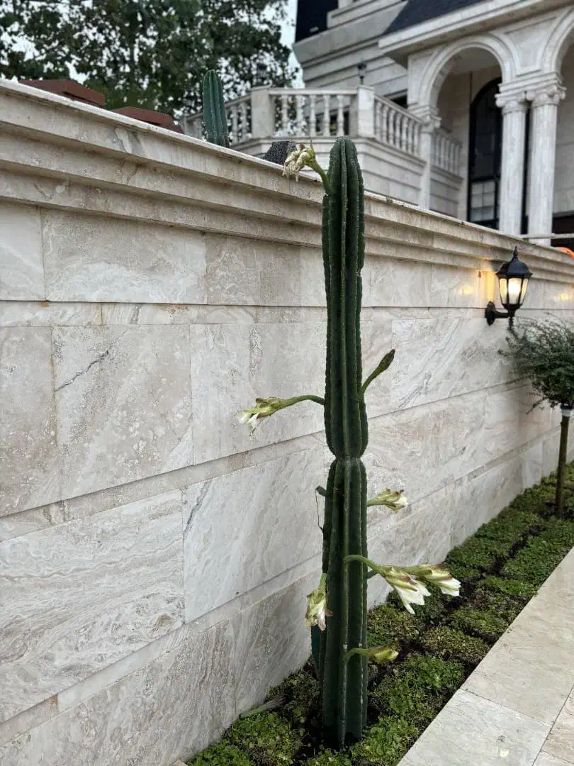 فورلکس نما انگلیسی 1000 متری/اسانسور/سنددار|فروش خانه و ویلا|رویان, |دیوار