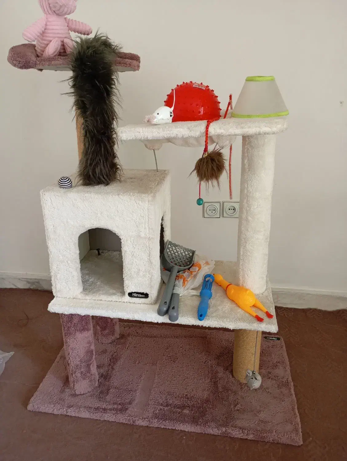 لوازم نگهداری حیوانات خانگی ( گربه )|لوازم جانبی حیوانات|تهران, قیطریه|دیوار