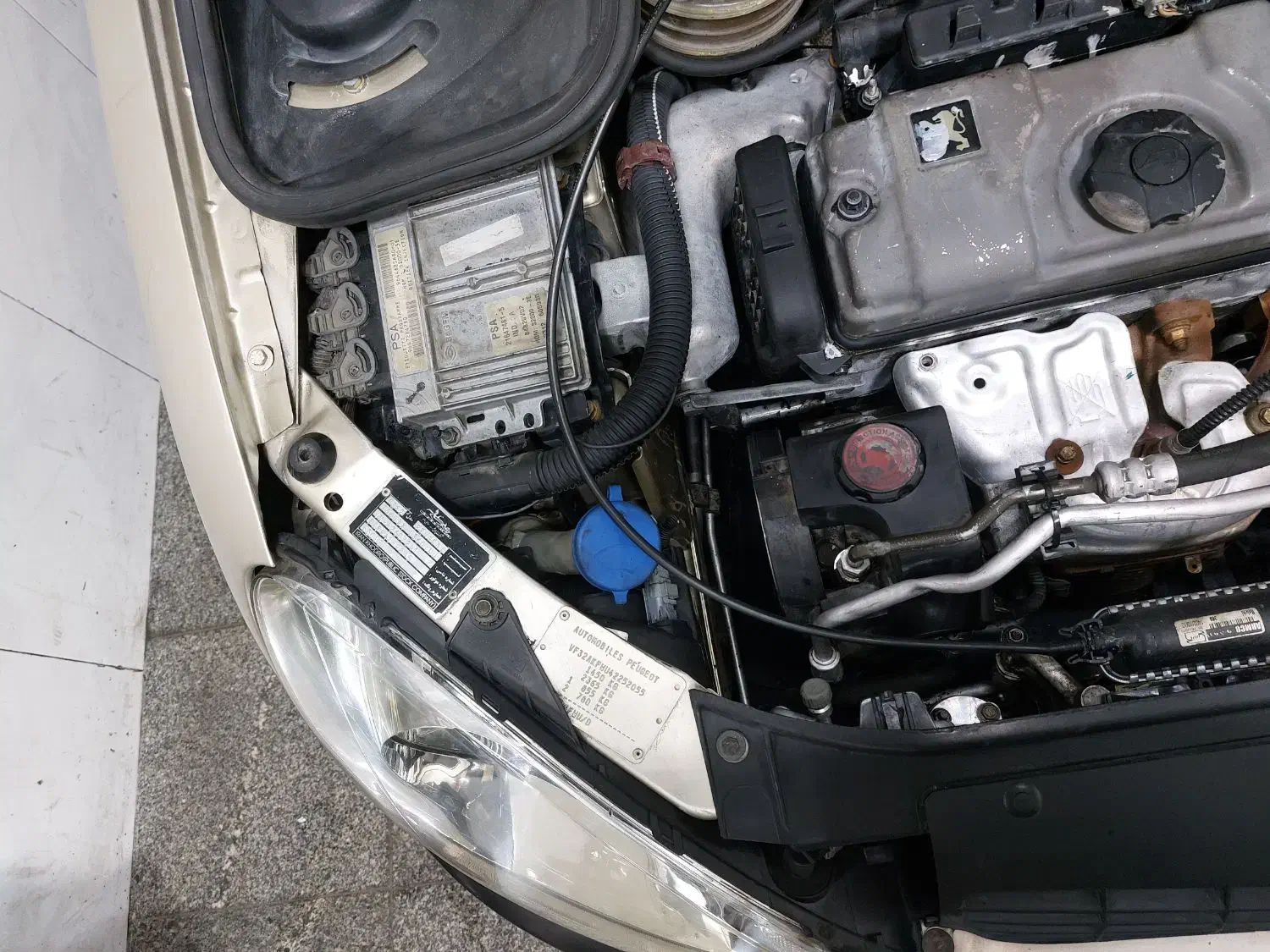 ۲۰۶ مدل ۸۲درحد صفر|خودرو سواری و وانت|تبریز, |دیوار