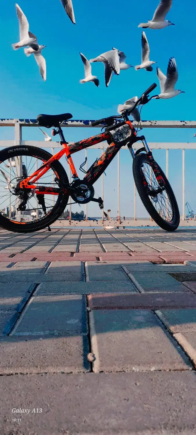 دوچرخه ۲۶|دوچرخه، اسکیت، اسکوتر|بندر انزلی, کلیور|دیوار