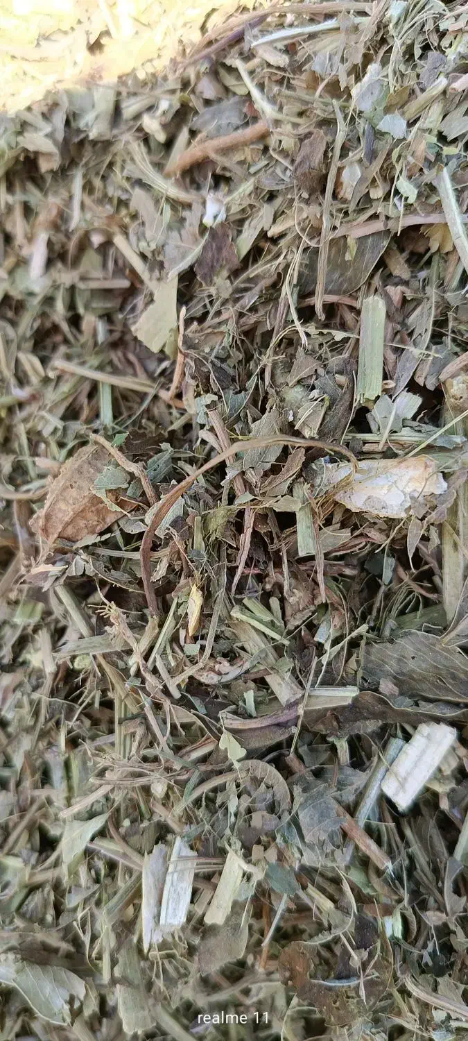 علف بادام|خدمات باغبانی و درختکاری|سروآباد, |دیوار