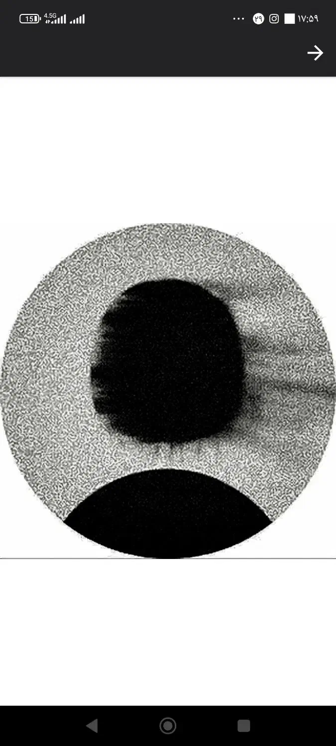 ذغال کبابی|عمده‌فروشی|دهبکری, |دیوار