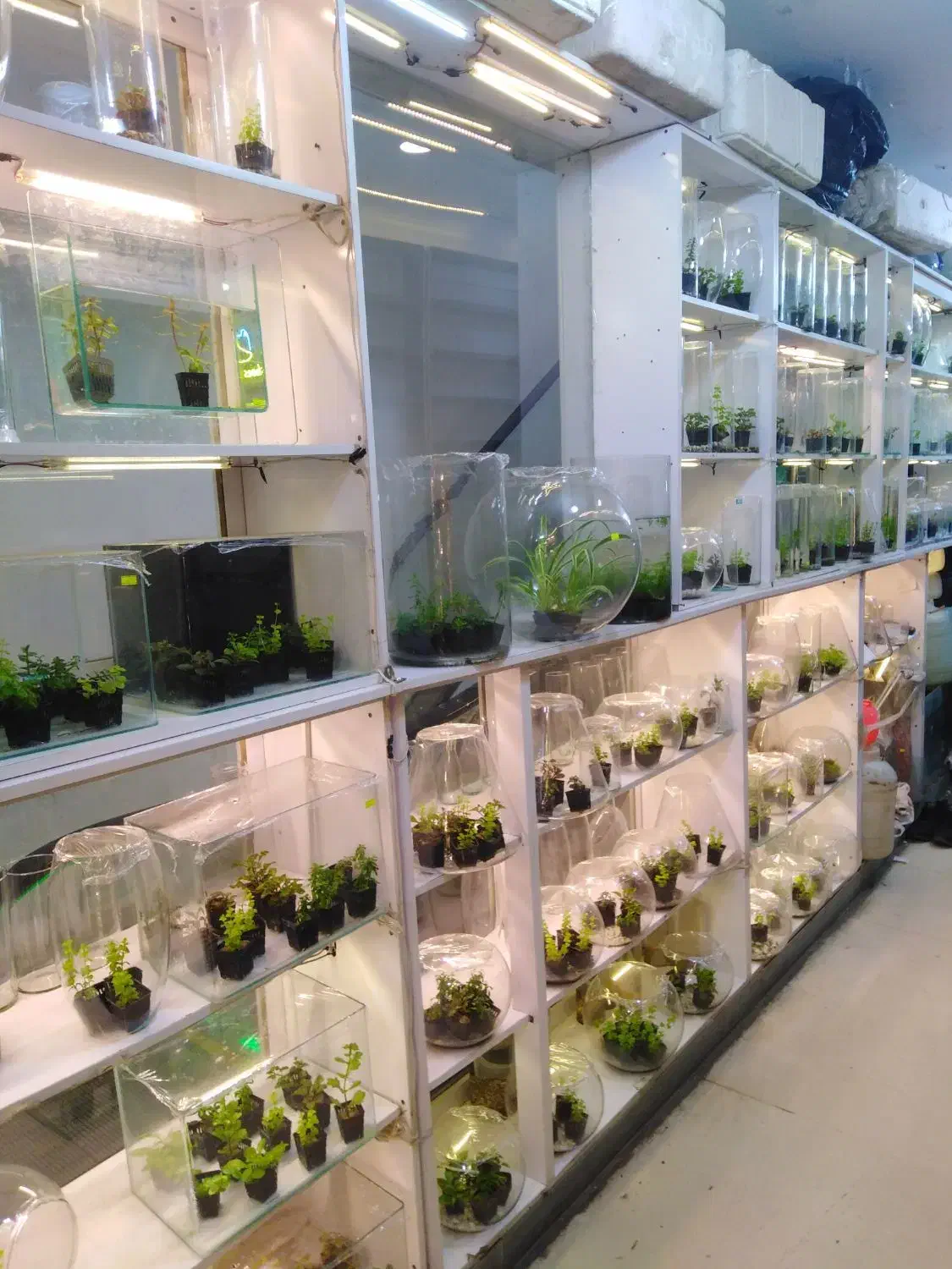 ویترین مغازه|فروشگاه و مغازه|قم, دورشهر|دیوار