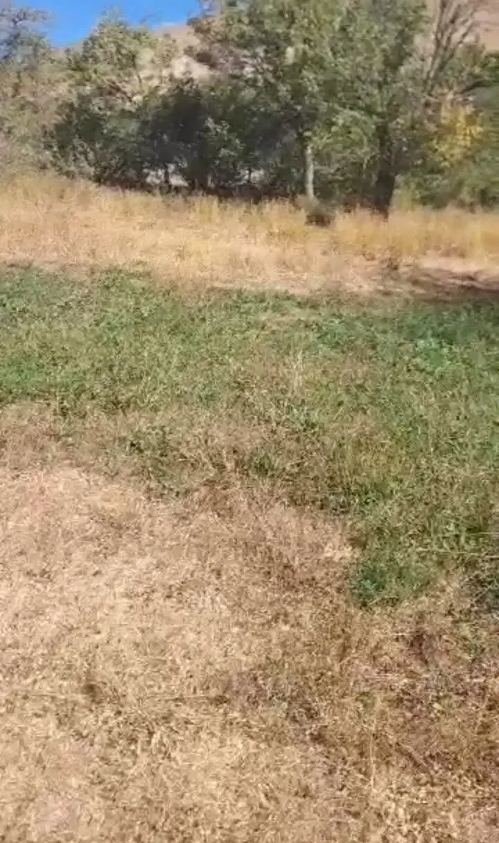 باغ و زمین|فروش زمین و ملک کلنگی|شاهرود (اردبیل), |دیوار