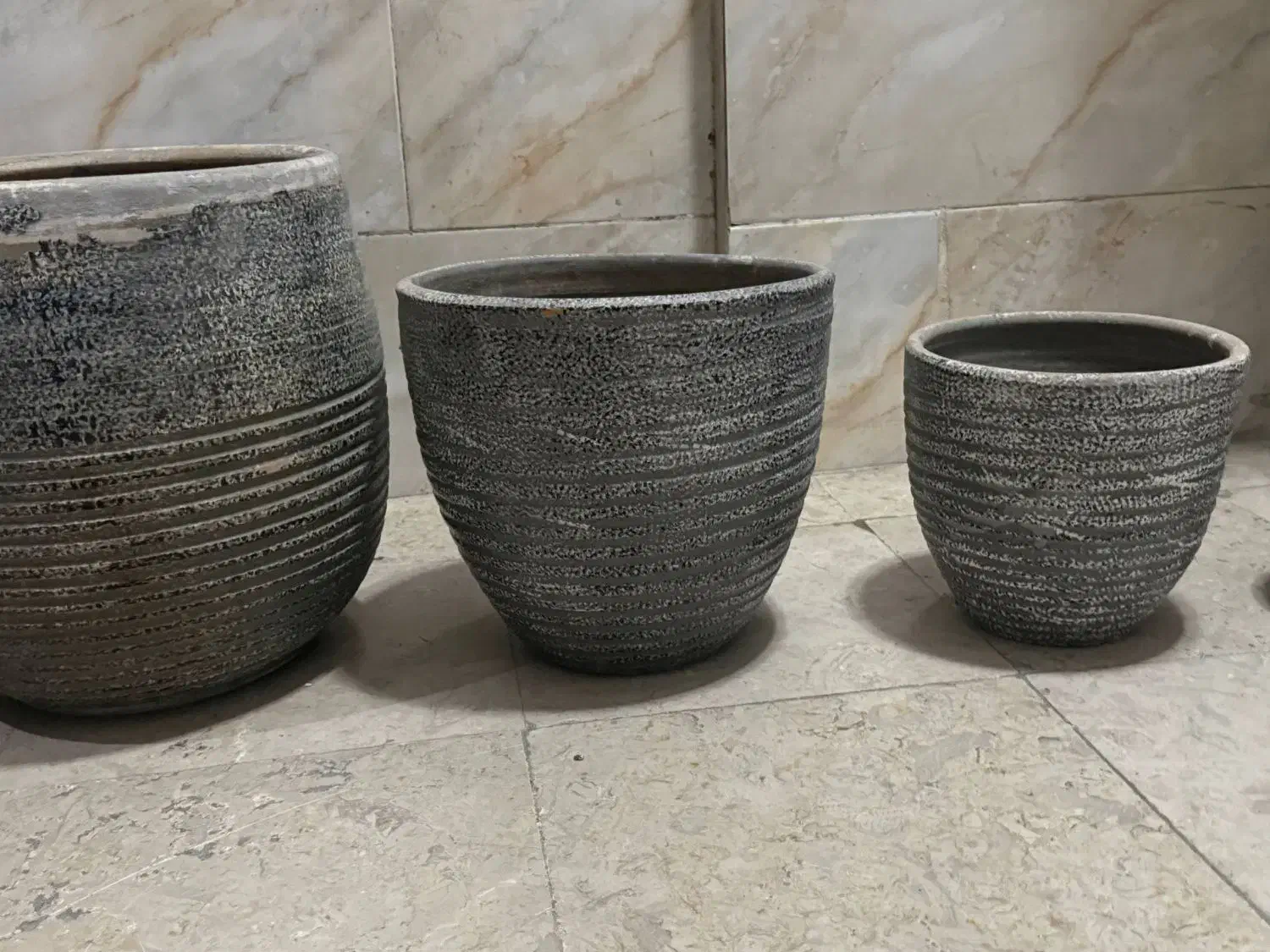 گلدان|گل و گیاه طبیعی|کرج, خرمدشت|دیوار