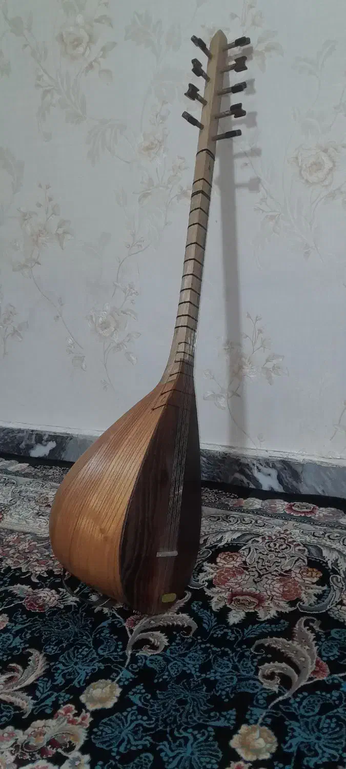 ساز.قوپوز|سازهای سنتی|آبیک, |دیوار