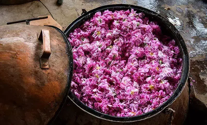 انواع گلاب ممتاز و عرقیات گیاهی|خوردنی و آشامیدنی|قم, بنیاد|دیوار