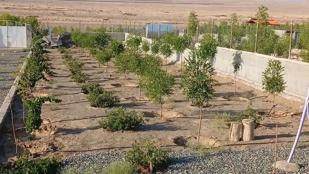 تصویر 4
