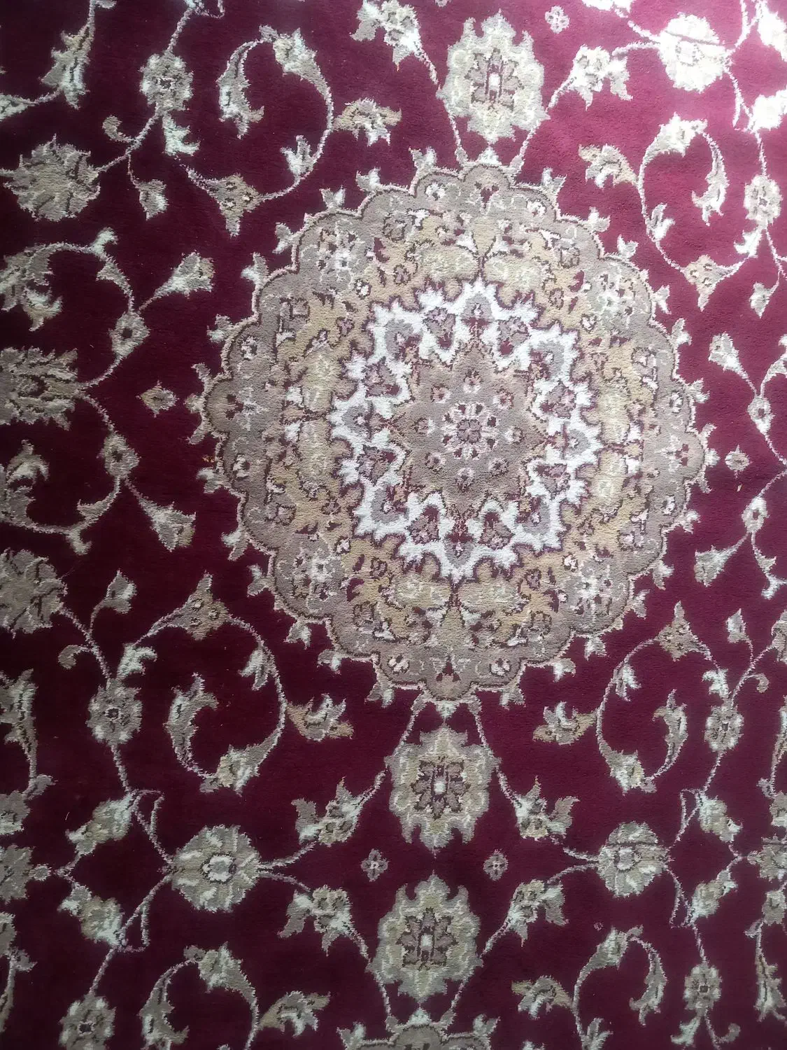 قالی|فرش|اهواز, کوی پلیس|دیوار