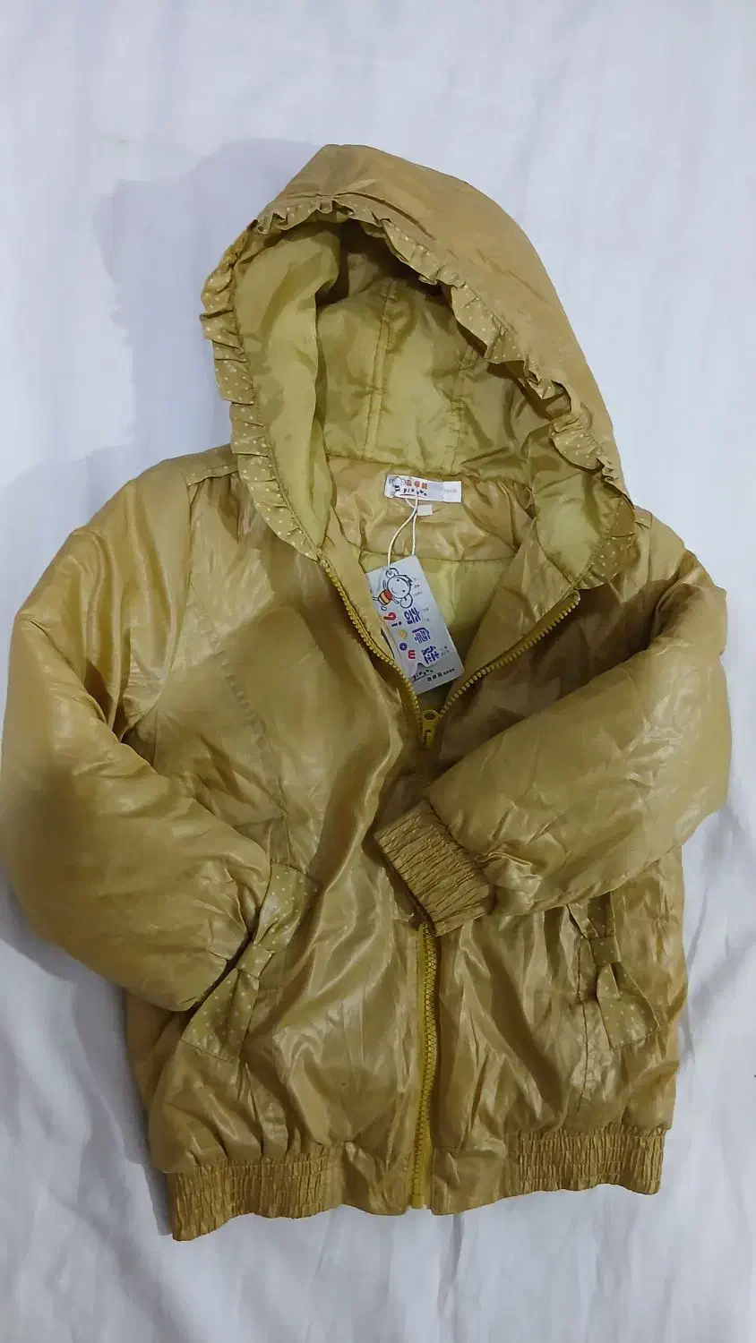 کاپشن نو|لباس|شاهرود, |دیوار