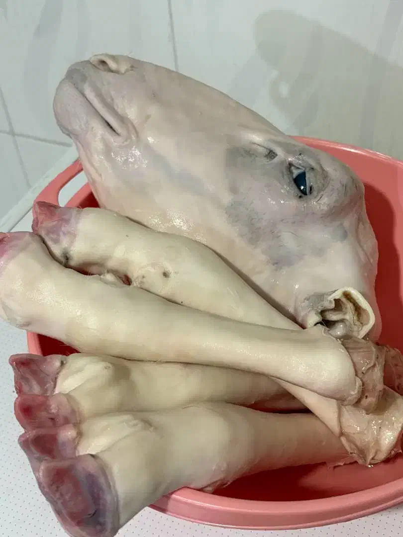 کله پاچه|خوردنی و آشامیدنی|نورآباد ممسنی, |دیوار