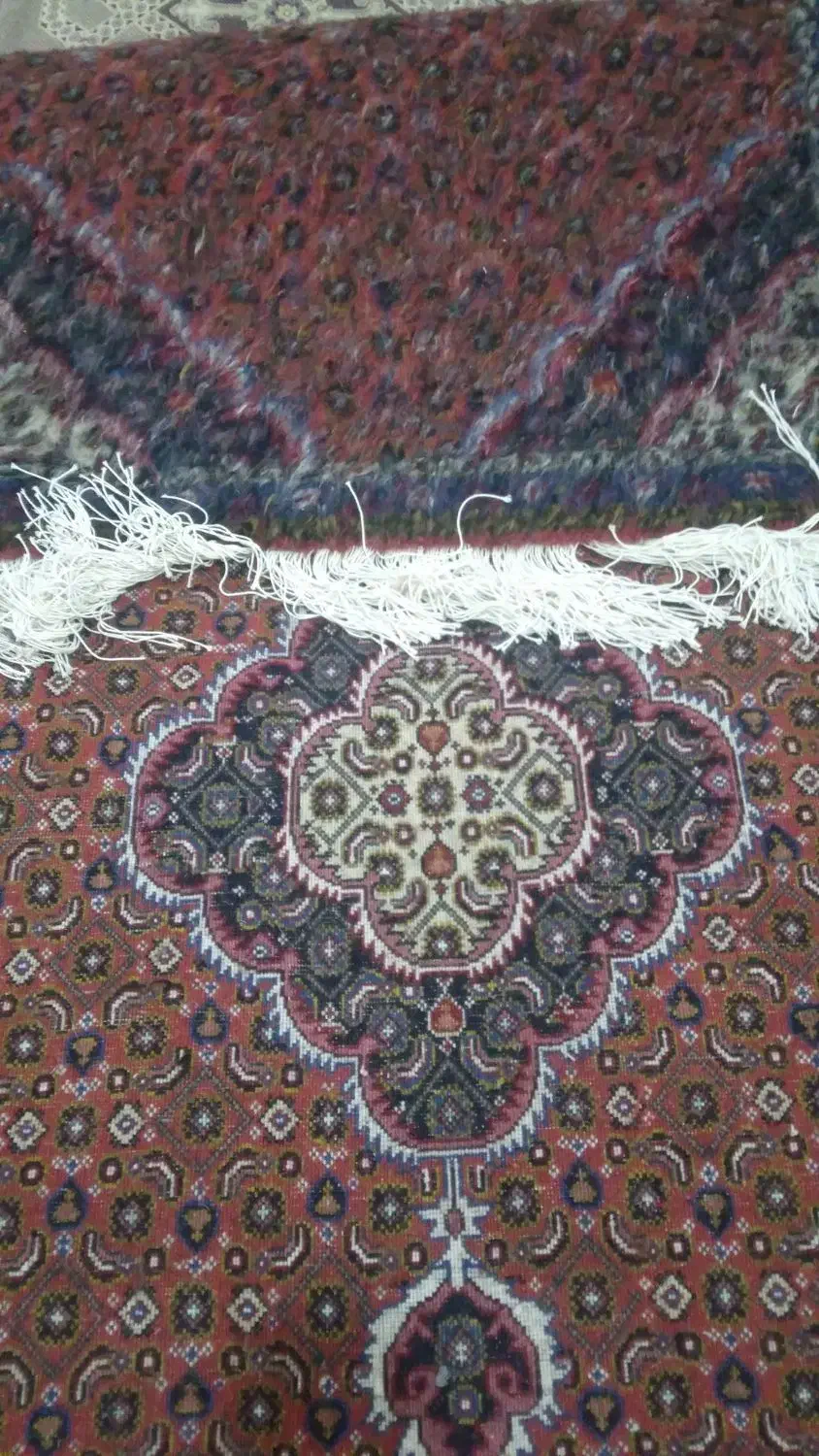 فرش دست بافت ریزه ماهی کناره|فرش|اردبیل, |دیوار