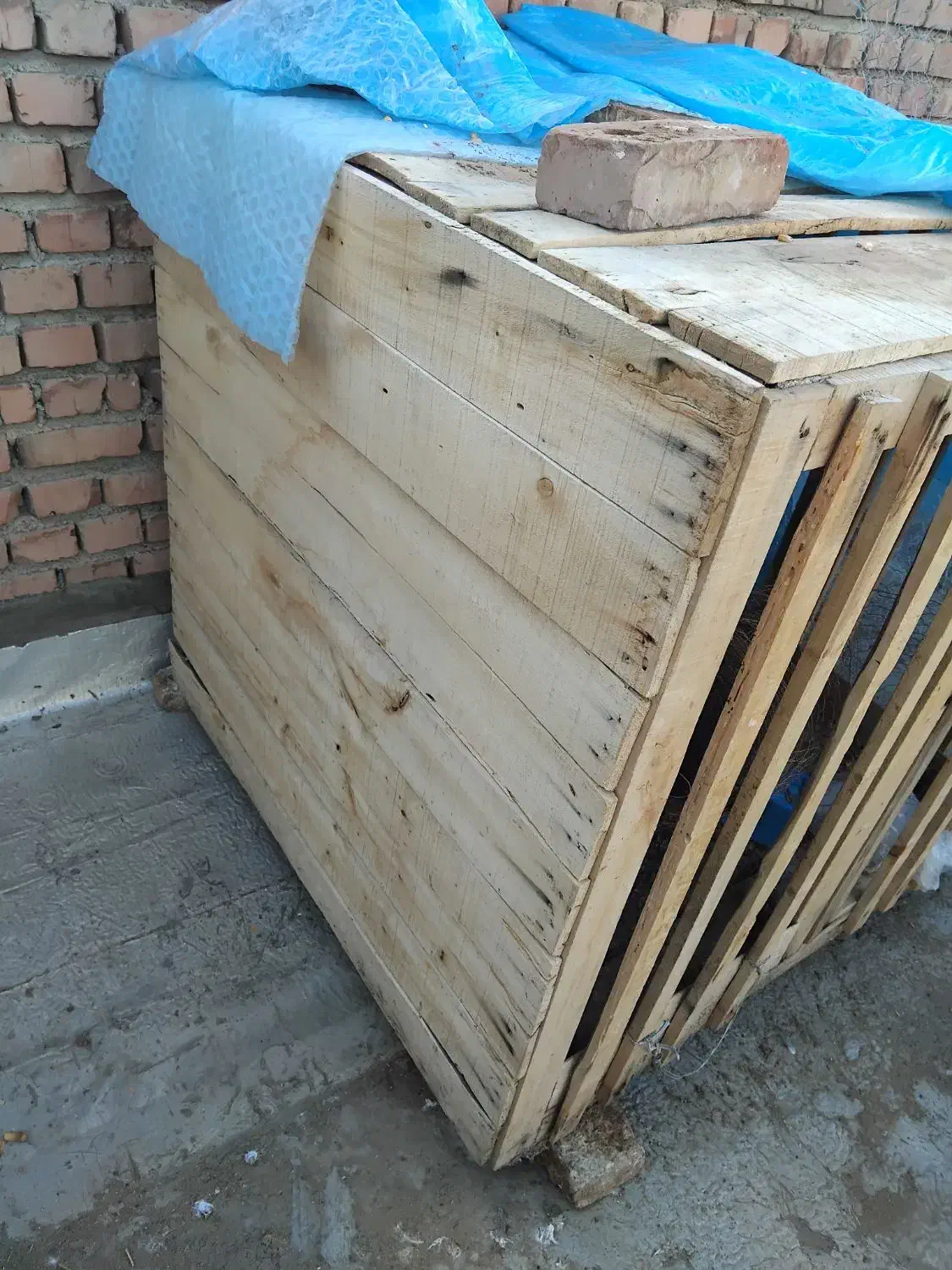 قفس|لوازم جانبی حیوانات|نقده, |دیوار