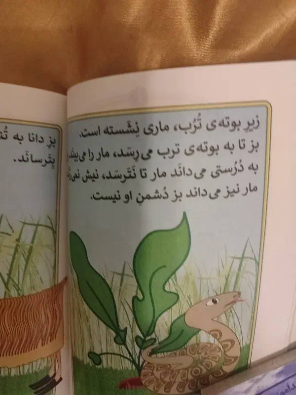 کار دوم دبستان.کتاب روانخوانی بی بی رعنا. ارورزی|کتاب و مجله آموزشی|تهران, سوهانک|دیوار