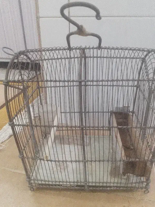 قفس سهره|لوازم جانبی حیوانات|بروجرد, |دیوار