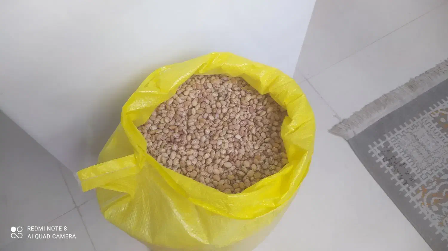 لوبیا چیتی درجه یک بوجاری شده|خوردنی و آشامیدنی|شیراز, ملاصدرا|دیوار