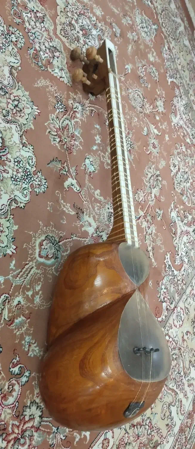 ساز تار|سازهای سنتی|مهاباد (آذربایجان غربی), |دیوار