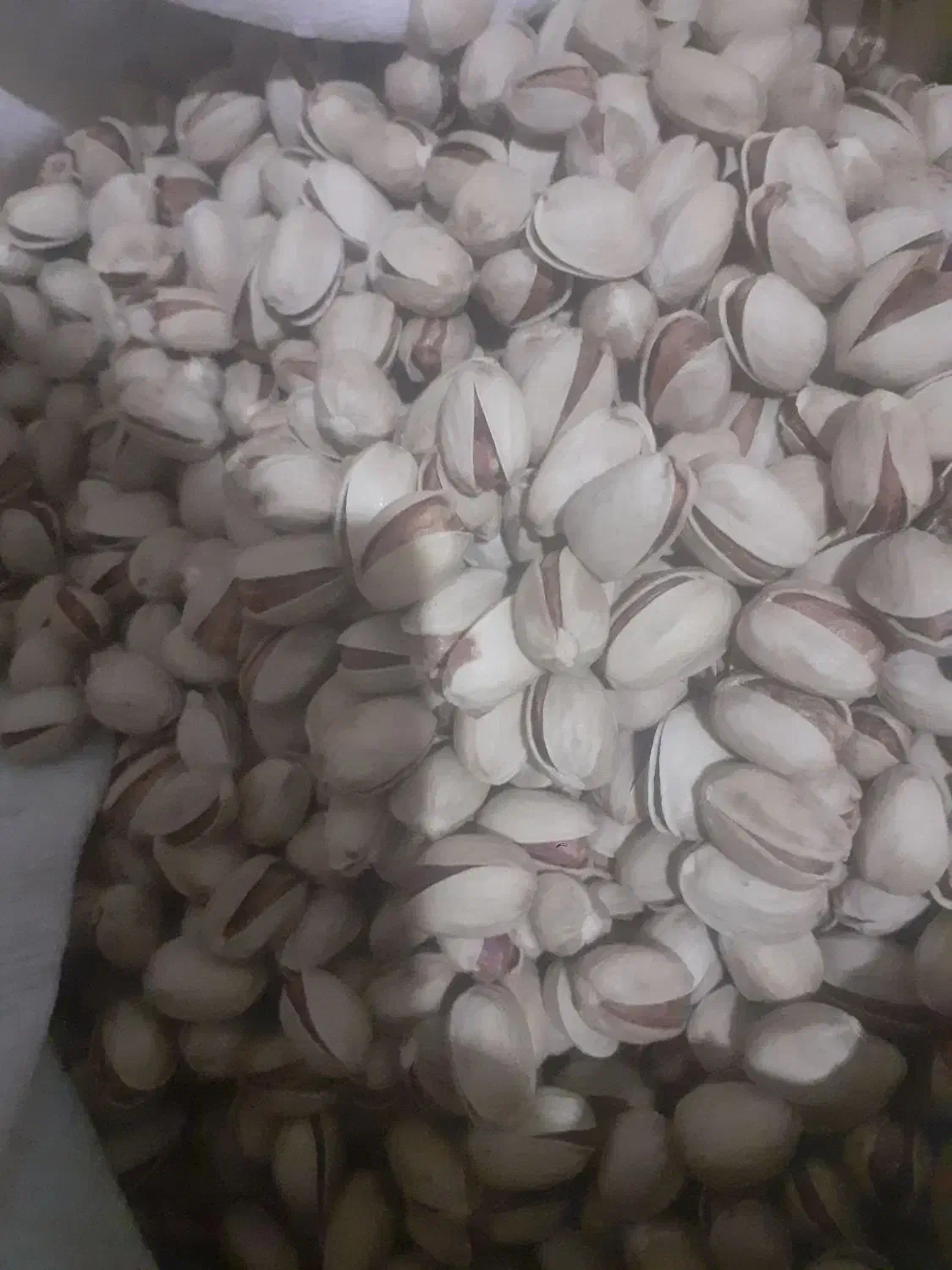 پسته خندان کله قوچی|خوردنی و آشامیدنی|نوده انقلاب, |دیوار