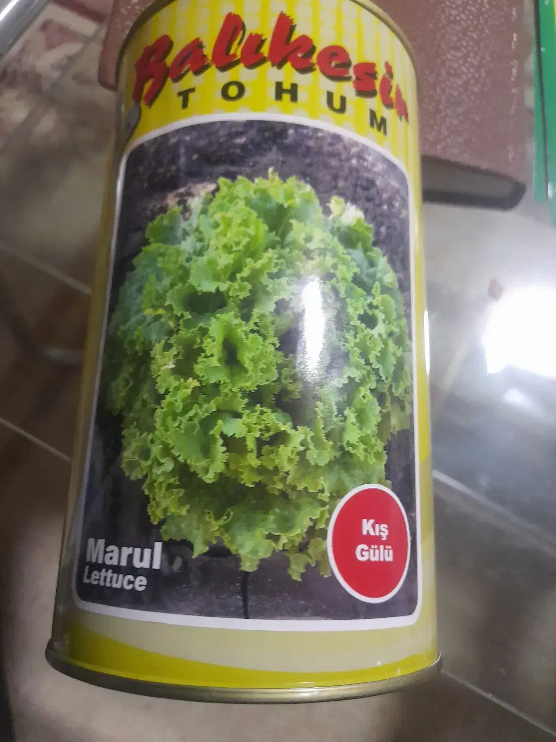 بذر کاهو فرانسوی بسته ۱۰۰۰عددی|گل و گیاه طبیعی|آبیک, |دیوار