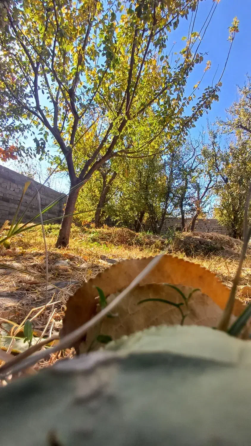 400 متر باغچه کردزار سند دار کاسبی|فروش خانه و ویلا|شهریار, کردزار|دیوار