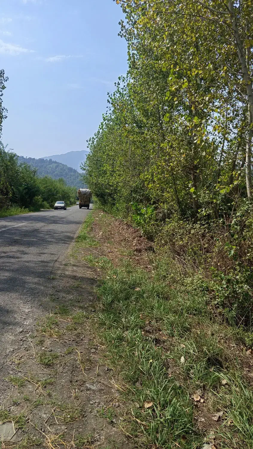 زمین بحر جاده اصلی|فروش زمین و ملک کلنگی|املش, |دیوار