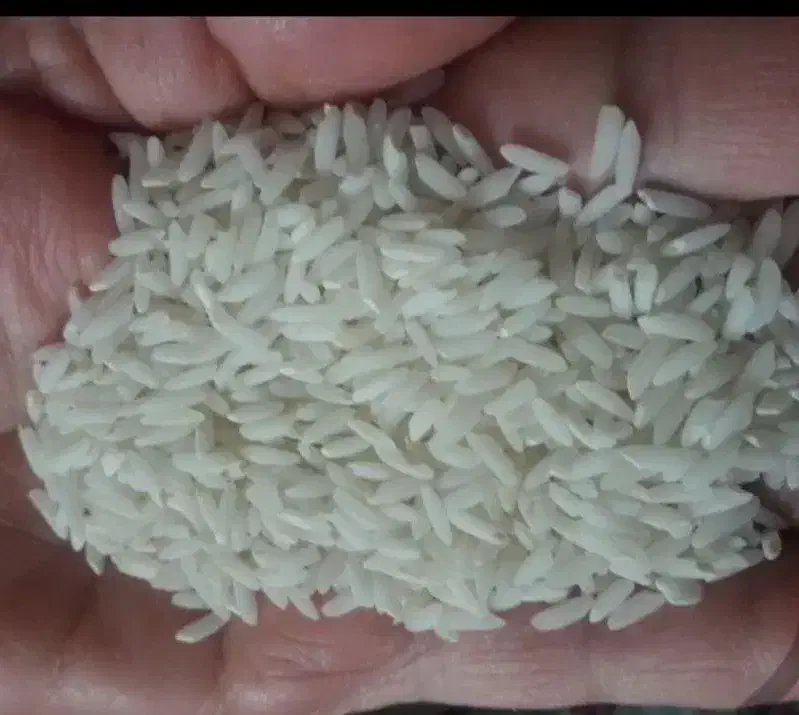 برنج دورود|خوردنی و آشامیدنی|تهران, شادآباد|دیوار