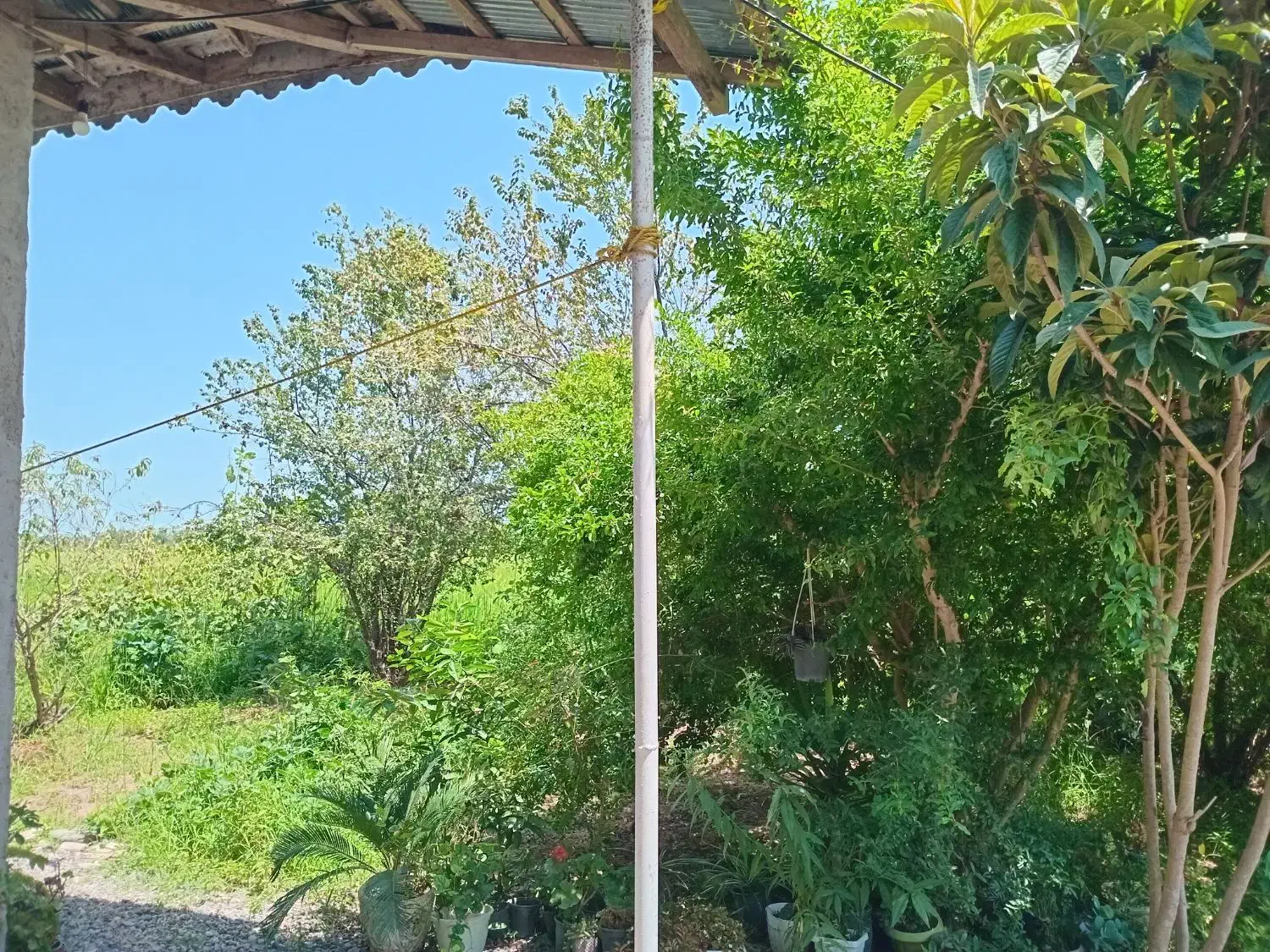 خانه ویلایی رشت ، جاده فومن ب سروان|فروش خانه و ویلا|فومن, |دیوار