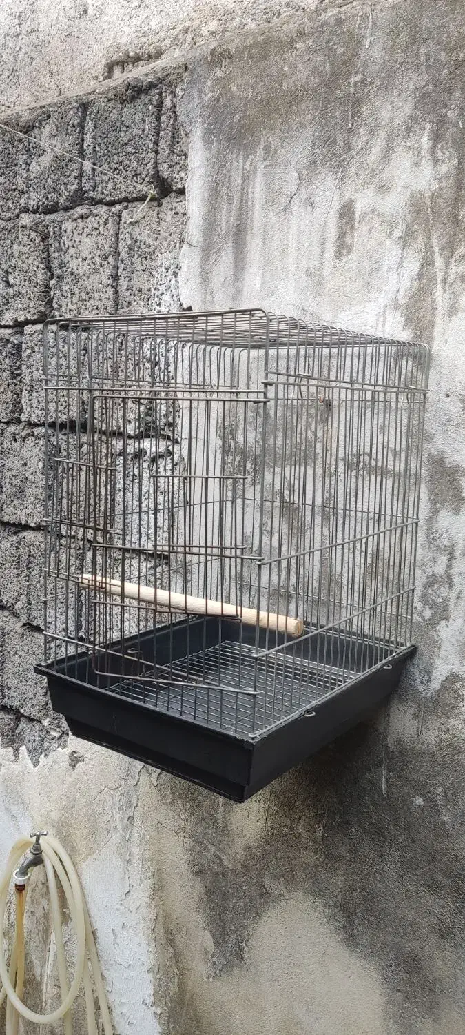 قفس بزرگ مخصوص طوطی سانان|لوازم جانبی حیوانات|رشت, آب و برق|دیوار