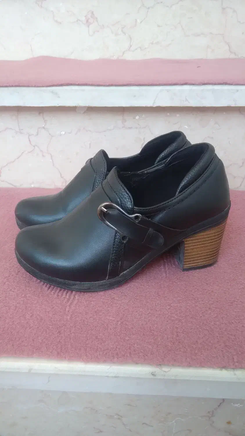 کفش مجلسی زنانه|کیف، کفش، کمربند|شاندیز, |دیوار