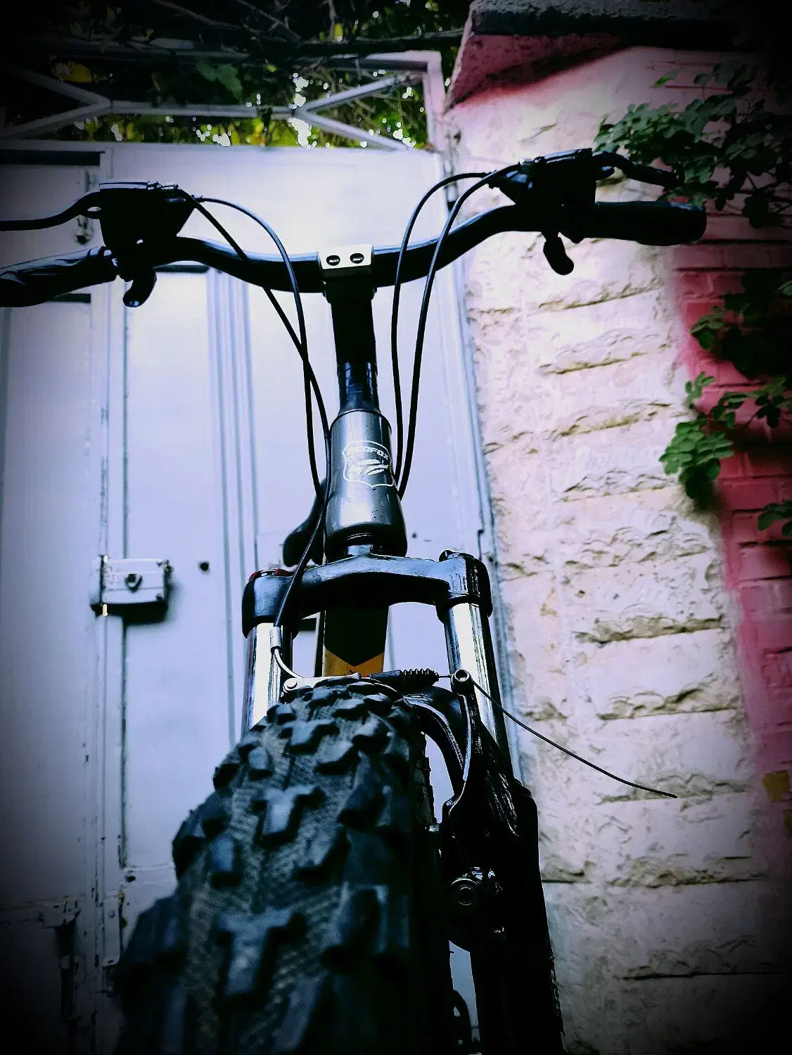 دوچرخه رد فوکس تنه بلند|دوچرخه، اسکیت، اسکوتر|بروجن, |دیوار