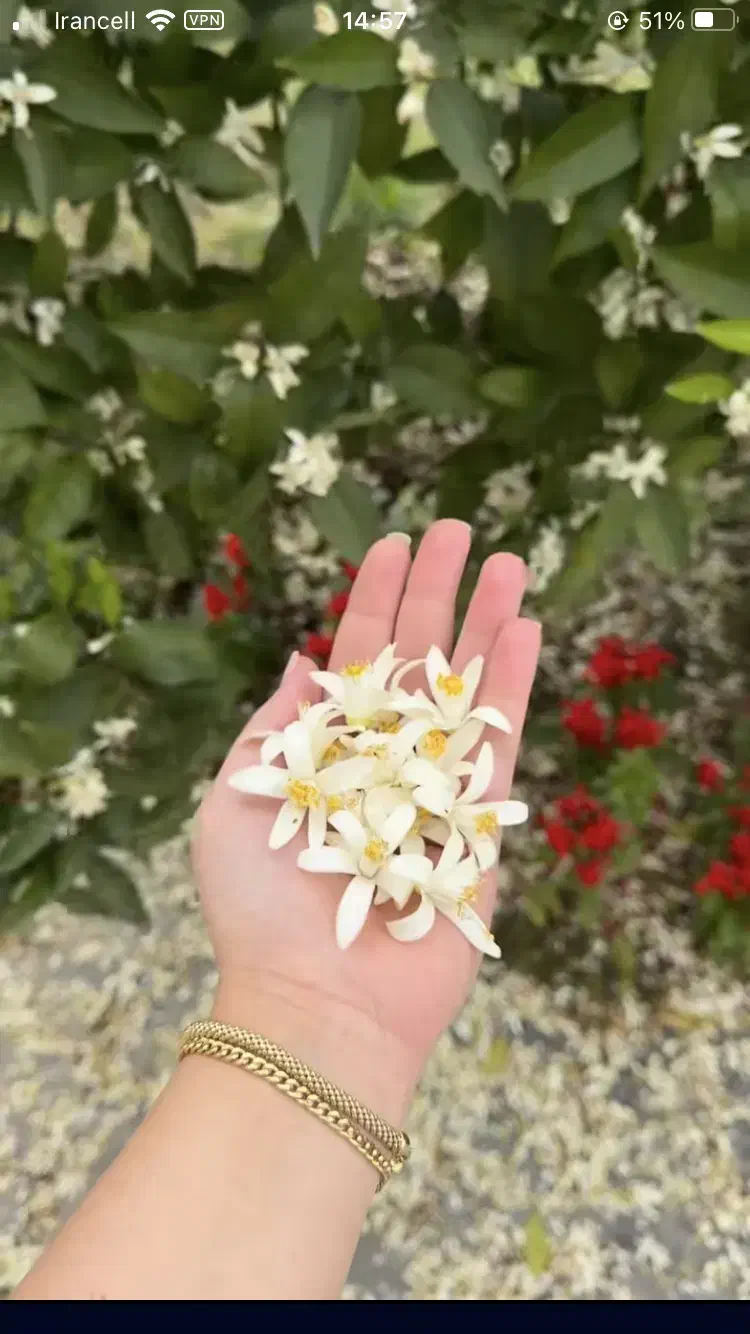 وام خونگی|خدمات مالی، حسابداری، بیمه|ساوه, |دیوار