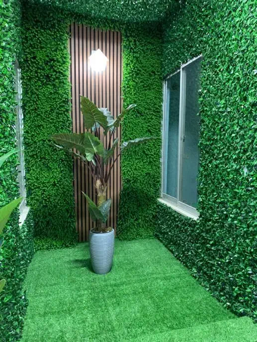 چمن مصنوعی|مصالح و تجهیزات ساختمان|تربت جام, جامی|دیوار