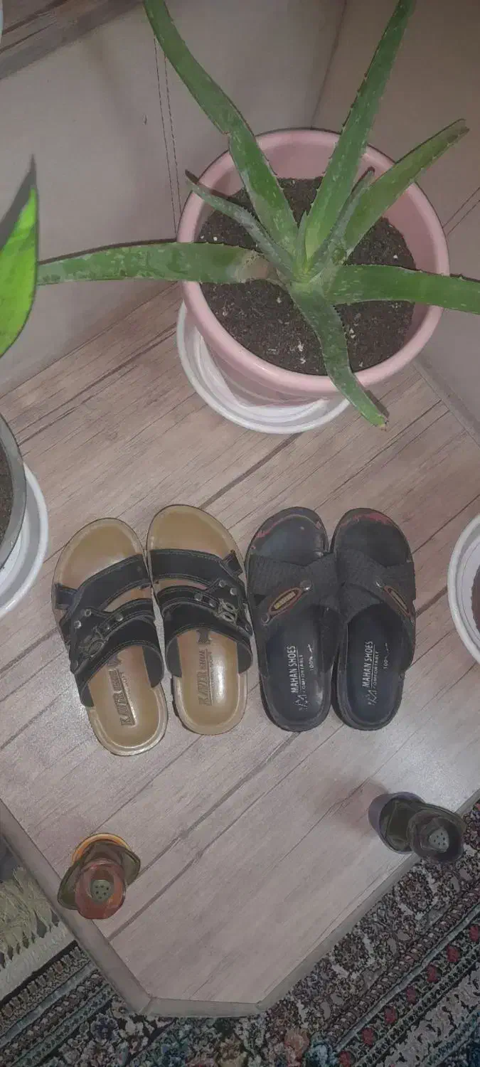 دمپایی|کیف، کفش، کمربند|سبزوار, هویزه|دیوار