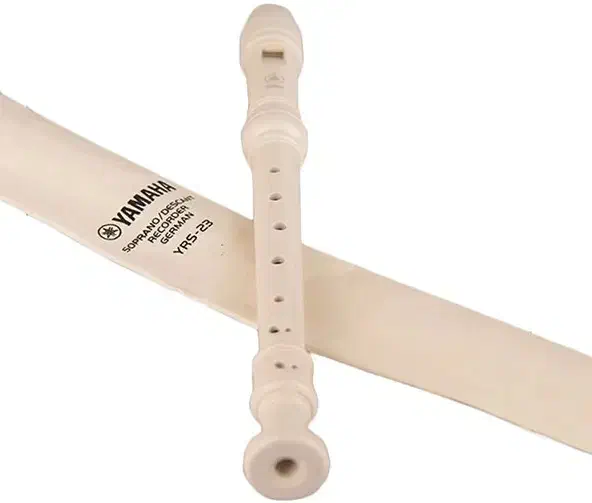 فلوت آموزشی یاماها|سازهای بادی|نیشابور, میدون بار|دیوار