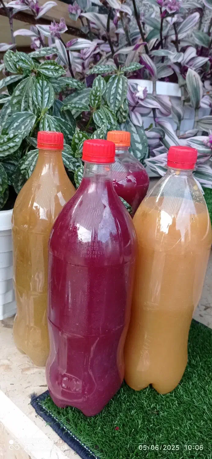 سیر خشک محلی روب انار روب الوچه اب انار ابغوره|خوردنی و آشامیدنی|ماکلوان, |دیوار