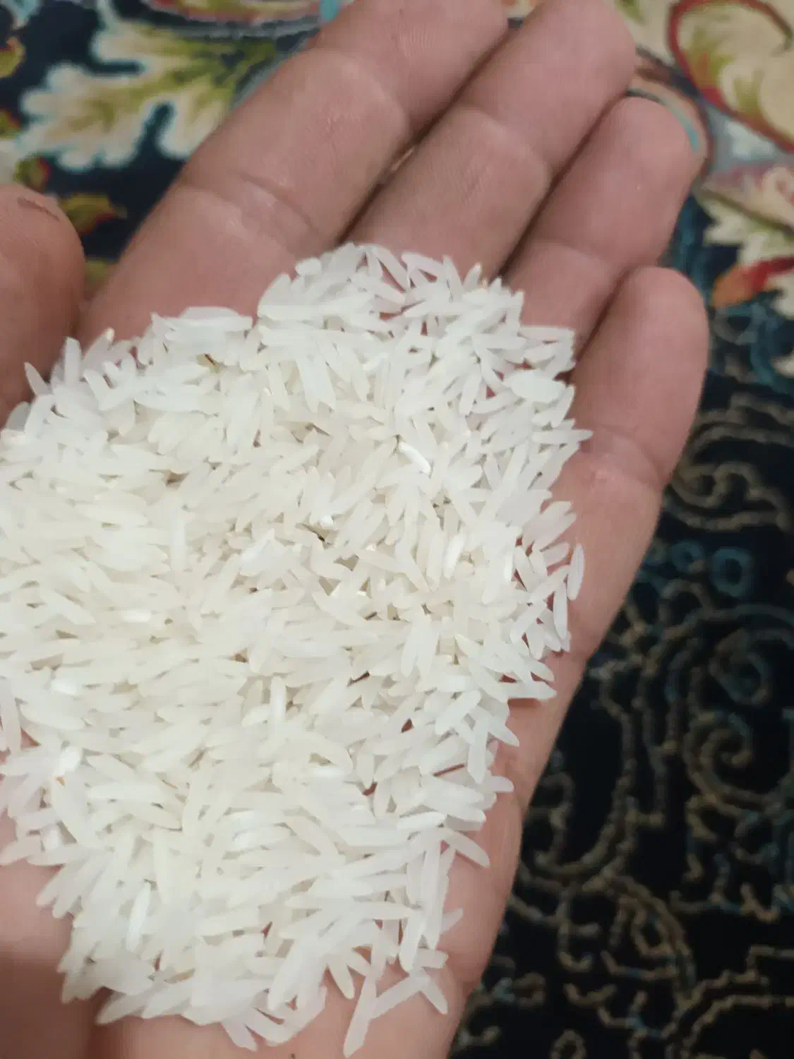 برنج فجر سوزنی به شرط|خوردنی و آشامیدنی|مزرعه کتول, |دیوار