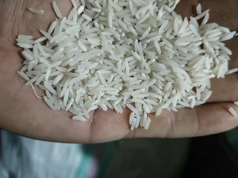 برنج فجر و دمسیاه خوش عطر|خوردنی و آشامیدنی|گنبد کاووس, |دیوار