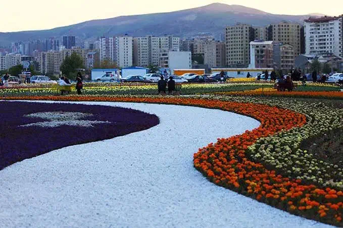 راهنمای محلی|فعالیت داوطلبانه|ارومیه, |دیوار