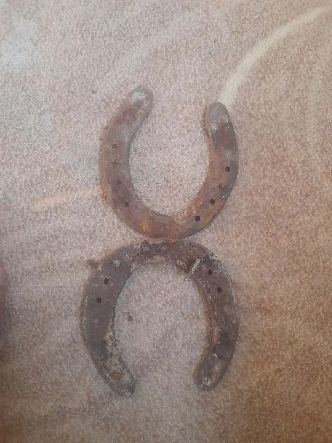 نعل‌اسب‌|اسب و تجهیزات اسب‌سواری|مشهد, دوست آباد|دیوار