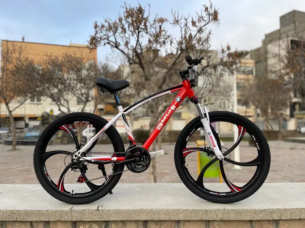 دوچرخ24.26 رالیچ|دوچرخه، اسکیت، اسکوتر|مشهد, هنرور|دیوار