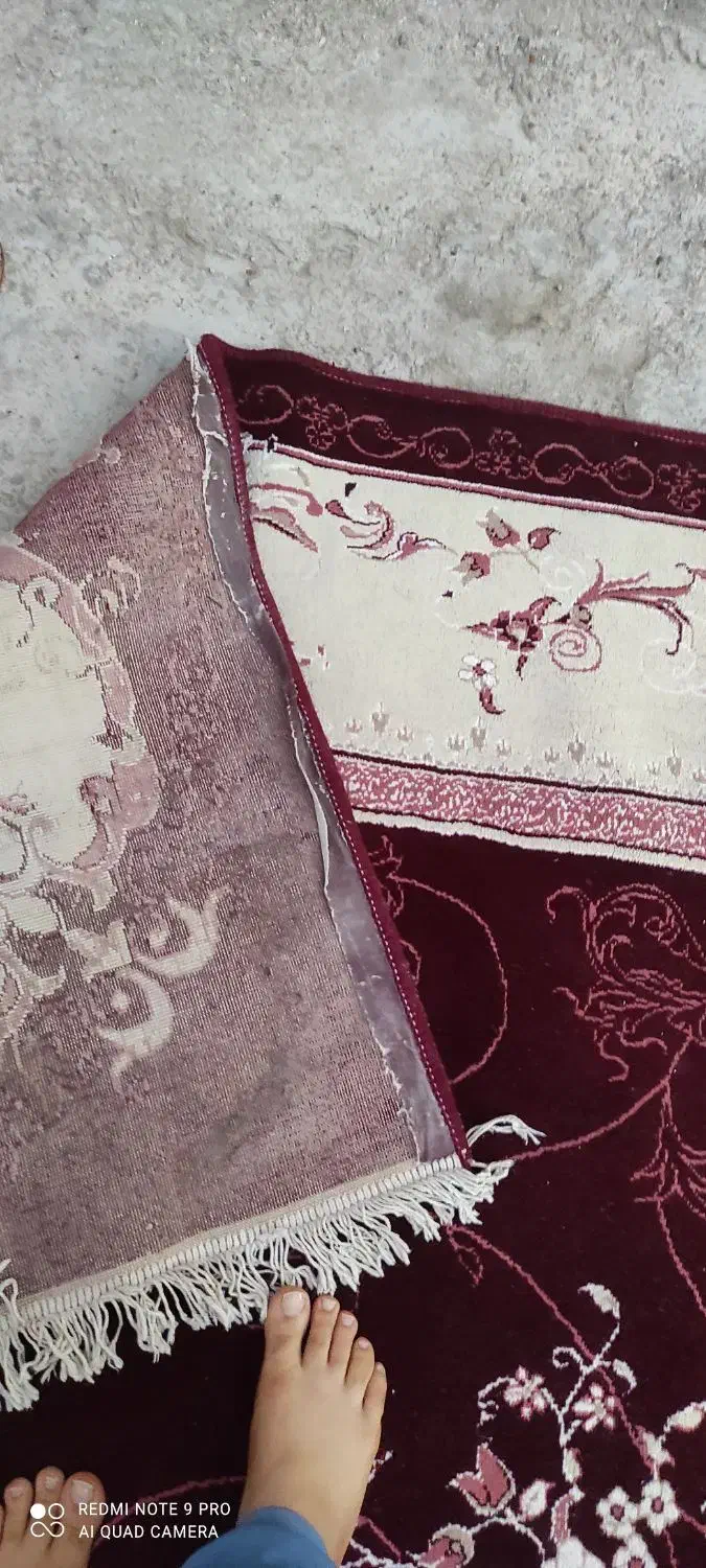 قالی و فرش در حد نو|فرش|بندر گناوه, |دیوار