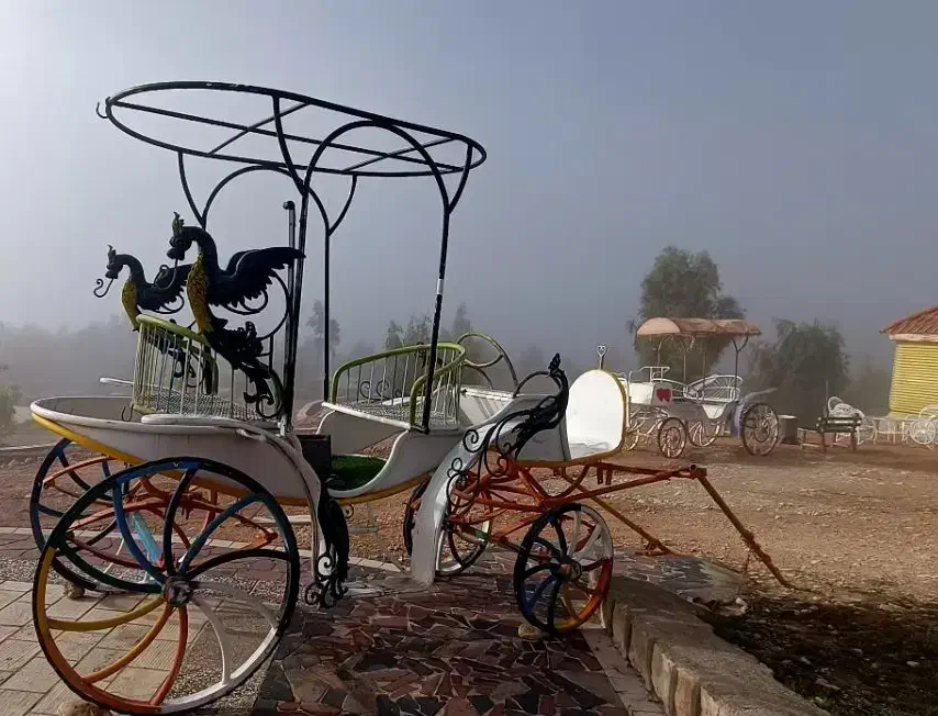 کالسکه اسب|اسب و تجهیزات اسبسواری|کازرون, |دیوار