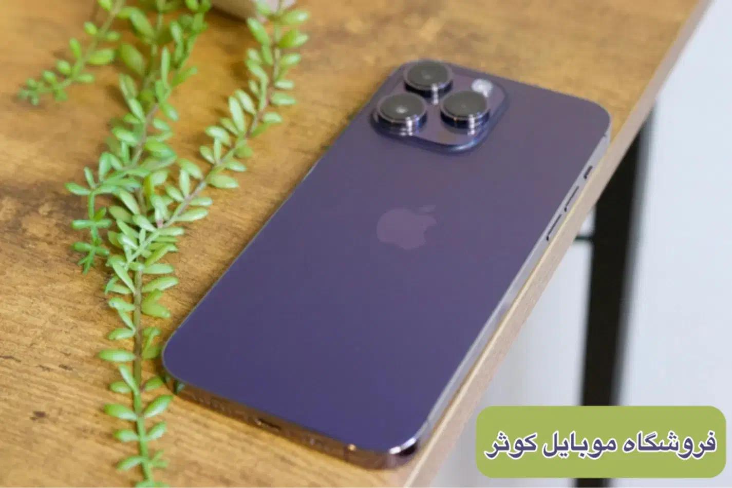 آیفون ۱۴ پرو (ch)|موبایل|یزد, |دیوار