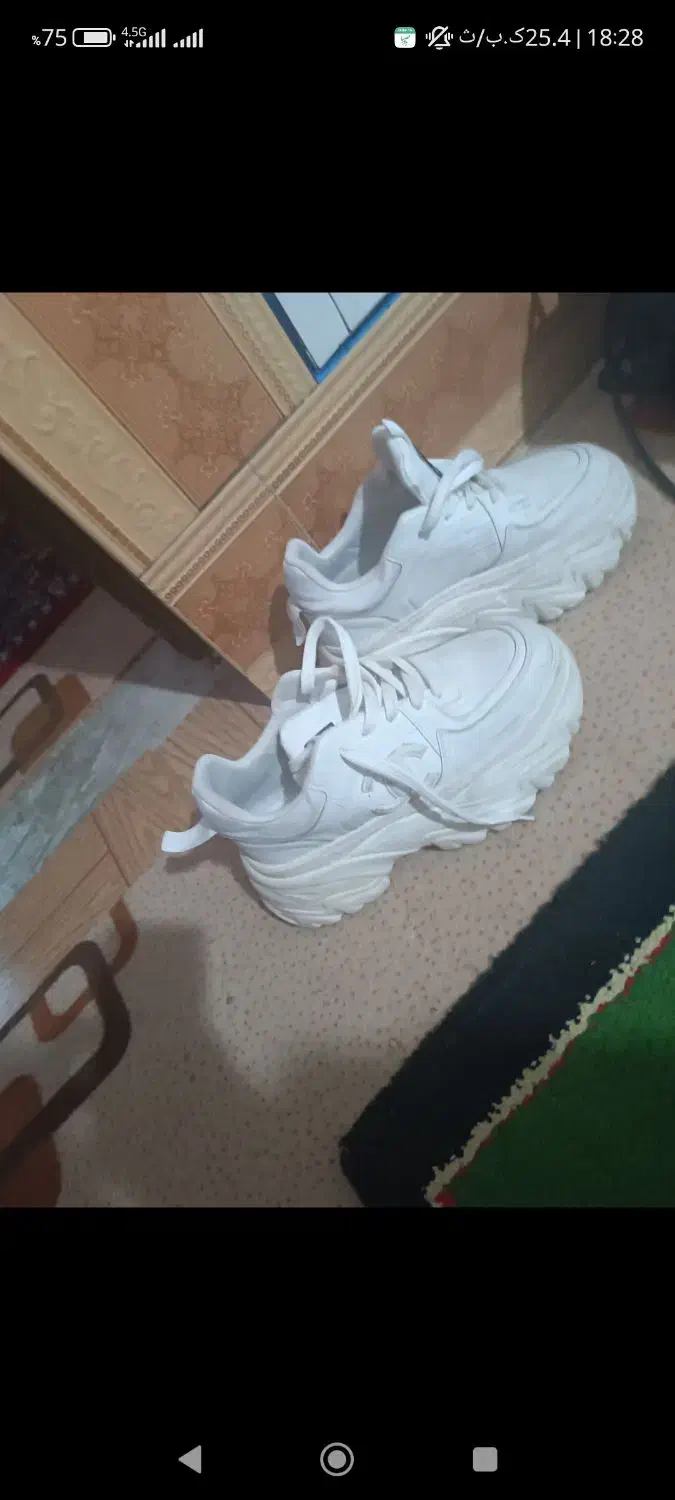 کفش شیک|کیف، کفش، کمربند|دهدشت, |دیوار