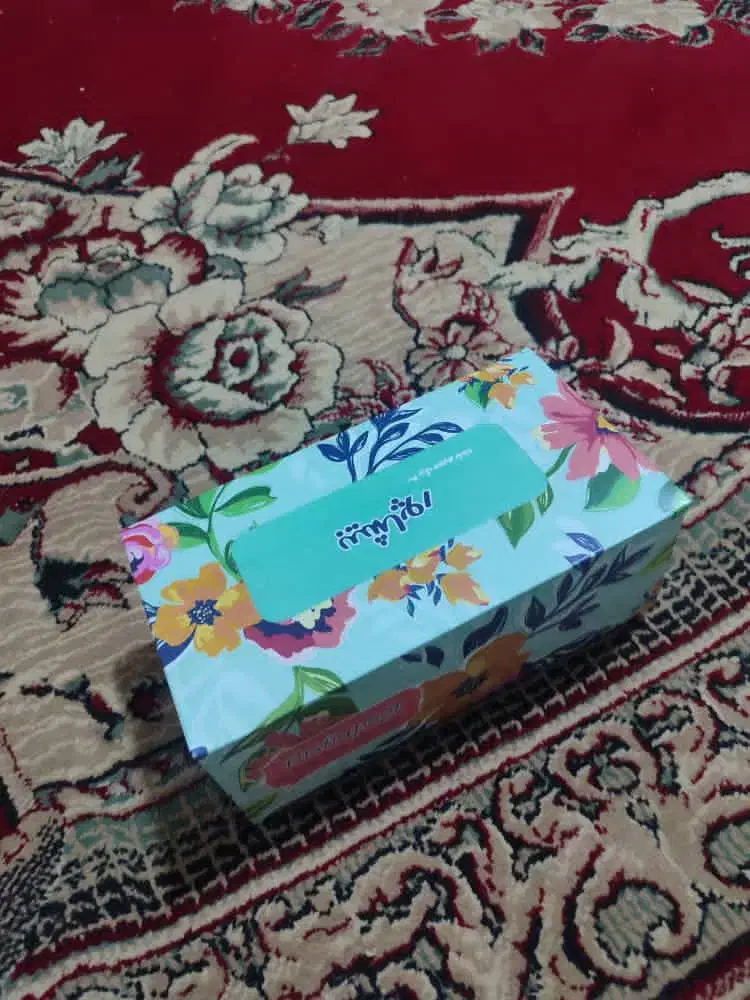 دستمال کاغذی|مواد شوینده و دستمال کاغذی|دهدشت, |دیوار