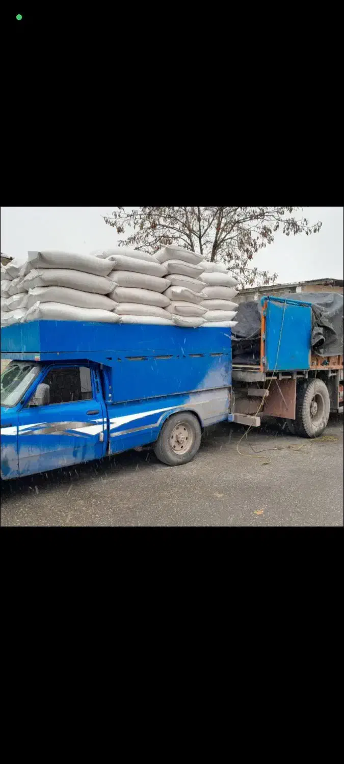 کنسانتره شیری و پرواری|عمده‌فروشی|رامند, |دیوار