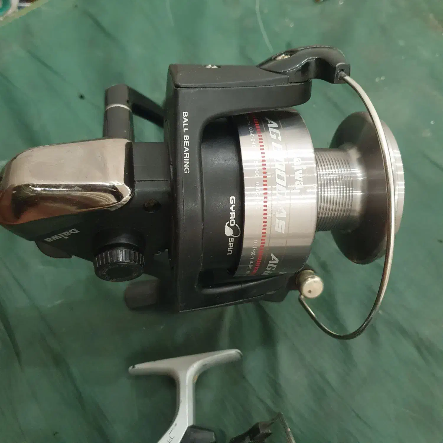 لنسر ماهیگیری|ماهیگیری|گنبد کاووس, |دیوار